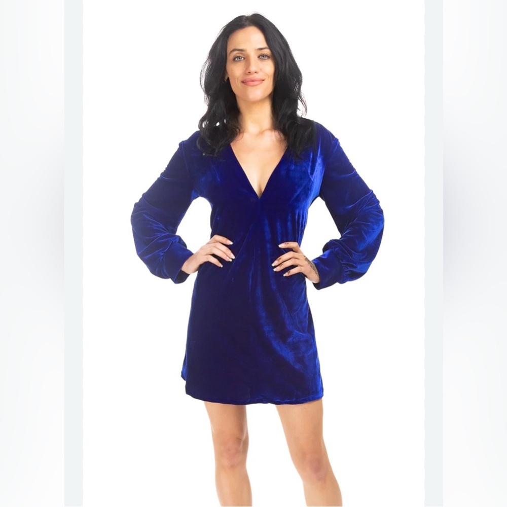 NWT Blue Velvet Long Sleeve Mini Dress Deep V | Size M